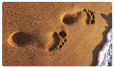 DNSEMP-C-127-Beach Footprints